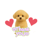 ポメプー(ポメラニアン×プードル)の毎日（個別スタンプ：16）