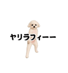 踊る！横揺れ界隈トイプードル22（個別スタンプ：4）