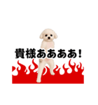 踊る！横揺れ界隈トイプードル22（個別スタンプ：18）