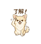 ゆるふわ癒し♪クリームチワワ（個別スタンプ：2）
