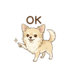 ゆるふわ癒し♪クリームチワワ（個別スタンプ：3）