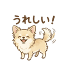 ゆるふわ癒し♪クリームチワワ（個別スタンプ：9）