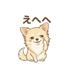 ゆるふわ癒し♪クリームチワワ（個別スタンプ：10）