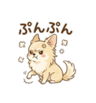 ゆるふわ癒し♪クリームチワワ（個別スタンプ：11）