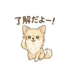 ゆるふわ癒し♪クリームチワワ（個別スタンプ：17）