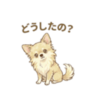 ゆるふわ癒し♪クリームチワワ（個別スタンプ：22）