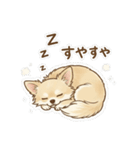 ゆるふわ癒し♪クリームチワワ（個別スタンプ：25）