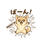 ゆるふわ癒し♪クリームチワワ（個別スタンプ：27）