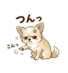 ゆるふわ癒し♪クリームチワワ（個別スタンプ：28）