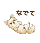 ゆるふわ癒し♪クリームチワワ（個別スタンプ：29）