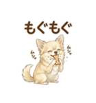ゆるふわ癒し♪クリームチワワ（個別スタンプ：39）