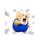 動く 3D猛コーギー silent（個別スタンプ：18）