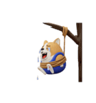 動く 3D猛コーギー silent（個別スタンプ：20）