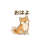 ほっこり癒し♪手描きの柴犬さん（個別スタンプ：1）