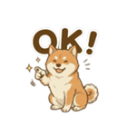 ほっこり癒し♪手描きの柴犬さん（個別スタンプ：6）