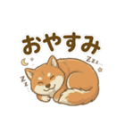 ほっこり癒し♪手描きの柴犬さん（個別スタンプ：8）