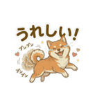 ほっこり癒し♪手描きの柴犬さん（個別スタンプ：9）