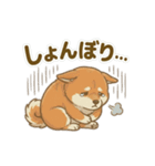 ほっこり癒し♪手描きの柴犬さん（個別スタンプ：10）