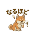 ほっこり癒し♪手描きの柴犬さん（個別スタンプ：13）