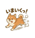 ほっこり癒し♪手描きの柴犬さん（個別スタンプ：18）