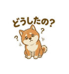 ほっこり癒し♪手描きの柴犬さん（個別スタンプ：21）