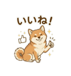 ほっこり癒し♪手描きの柴犬さん（個別スタンプ：22）