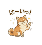 ほっこり癒し♪手描きの柴犬さん（個別スタンプ：23）