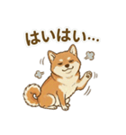 ほっこり癒し♪手描きの柴犬さん（個別スタンプ：26）