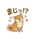 ほっこり癒し♪手描きの柴犬さん（個別スタンプ：27）