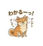 ほっこり癒し♪手描きの柴犬さん（個別スタンプ：28）