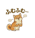 ほっこり癒し♪手描きの柴犬さん（個別スタンプ：29）