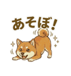 ほっこり癒し♪手描きの柴犬さん（個別スタンプ：32）