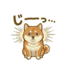 ほっこり癒し♪手描きの柴犬さん（個別スタンプ：34）