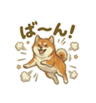 ほっこり癒し♪手描きの柴犬さん（個別スタンプ：35）
