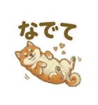 ほっこり癒し♪手描きの柴犬さん（個別スタンプ：37）