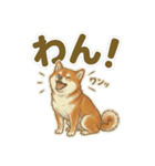 ほっこり癒し♪手描きの柴犬さん（個別スタンプ：38）