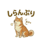 ほっこり癒し♪手描きの柴犬さん（個別スタンプ：40）