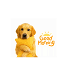 【動く】ゴールデンレトリバー★毎日使える（個別スタンプ：9）