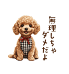 母♡トイプードルの冬の気づかい（個別スタンプ：14）