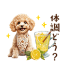 母♡トイプードルの冬の気づかい（個別スタンプ：19）