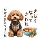 母♡トイプードルの冬の気づかい（個別スタンプ：21）