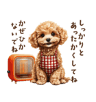 母♡トイプードルの冬の気づかい（個別スタンプ：22）