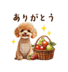 母♡トイプードルの冬の気づかい（個別スタンプ：24）