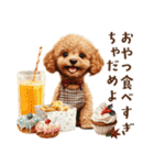 母♡トイプードルの冬の気づかい（個別スタンプ：34）