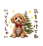 母♡トイプードルの冬の気づかい（個別スタンプ：37）