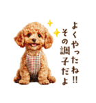 母♡トイプードルの冬の気づかい（個別スタンプ：39）