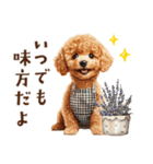 母♡トイプードルの冬の気づかい（個別スタンプ：40）