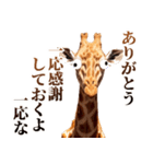 うざいキリン（個別スタンプ：10）