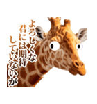 うざいキリン（個別スタンプ：11）