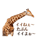 うざいキリン（個別スタンプ：21）